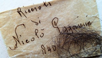 Paganinis Haare Paganinis Haare
